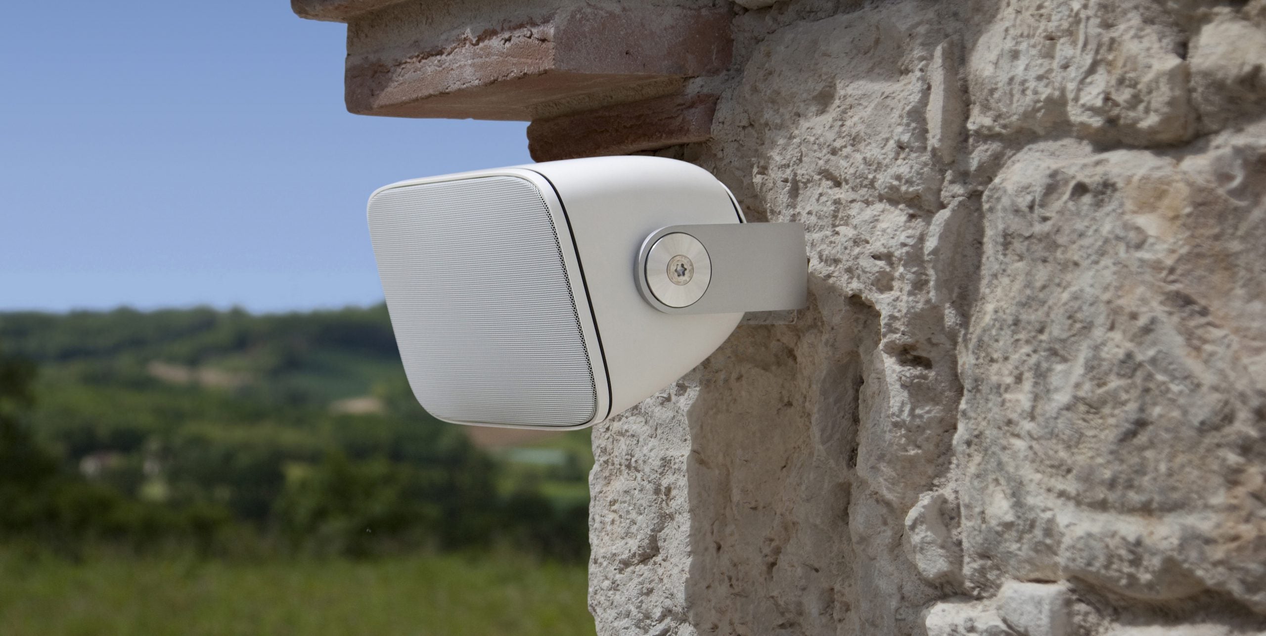 Bower And Wilkins Custom Speakers