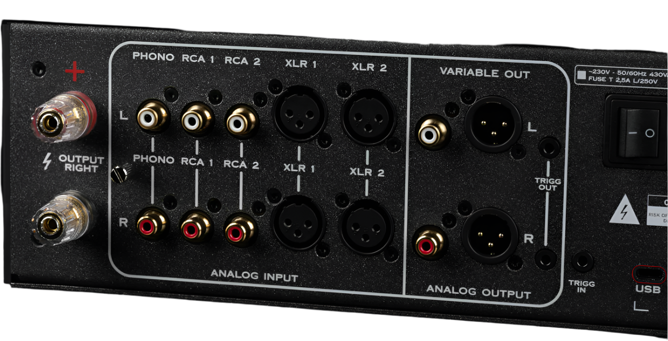 Canor Virtus A3 All-In-One Hybrid Amplifier, back of unit