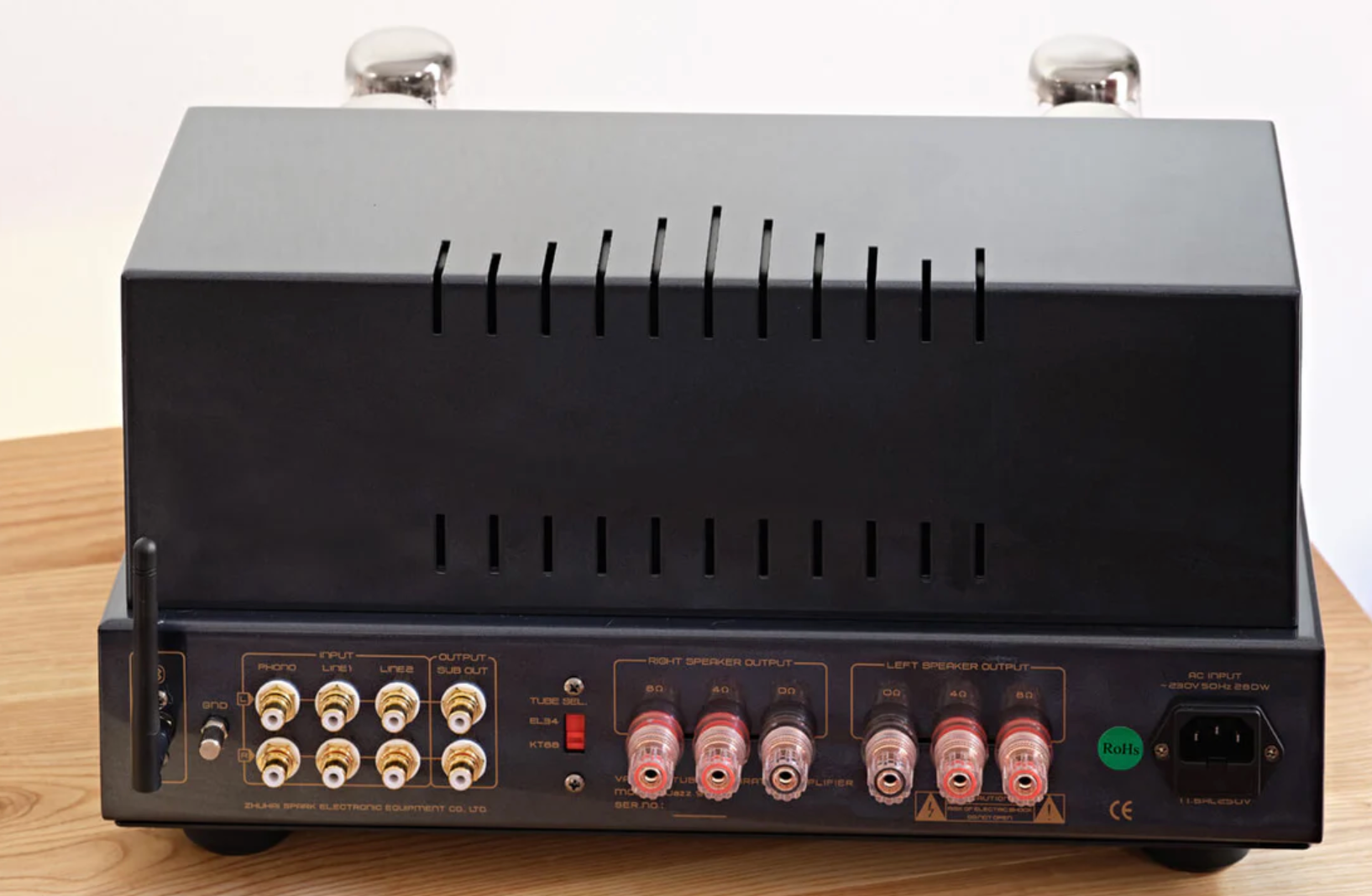 Cayin Jazz 90 Tube Integrated Amplifier in rear of unit