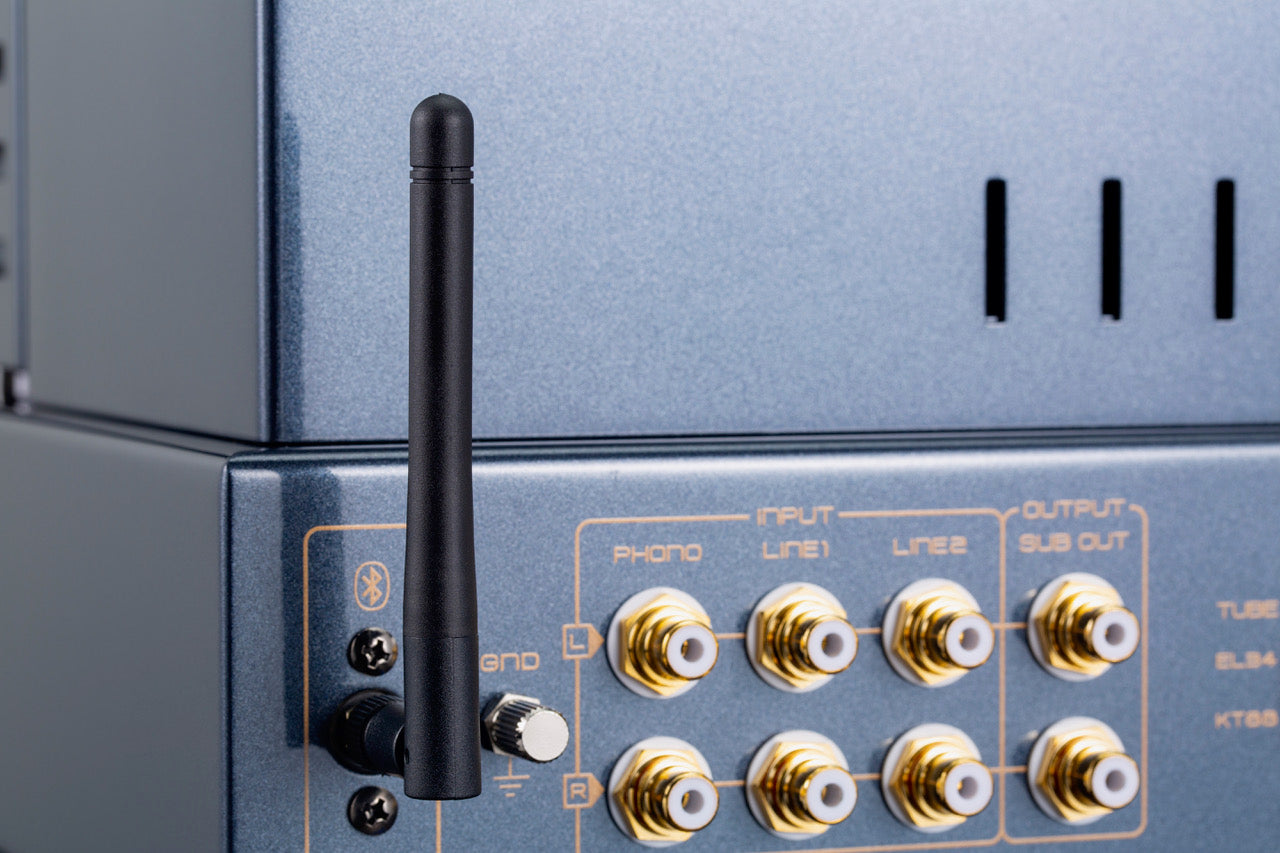 Cayin Jazz 90 Tube Integrated Amplifier in closeup of input and output lines