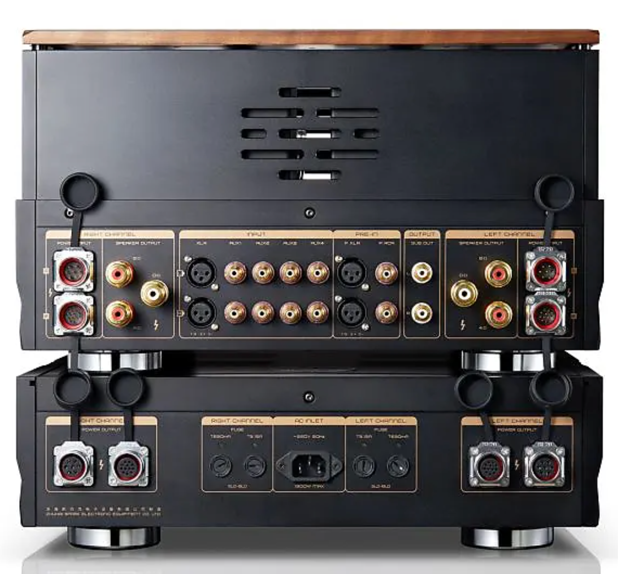 Cayin Pearl 30i 30th Anniversary Tube Amplifier, rear