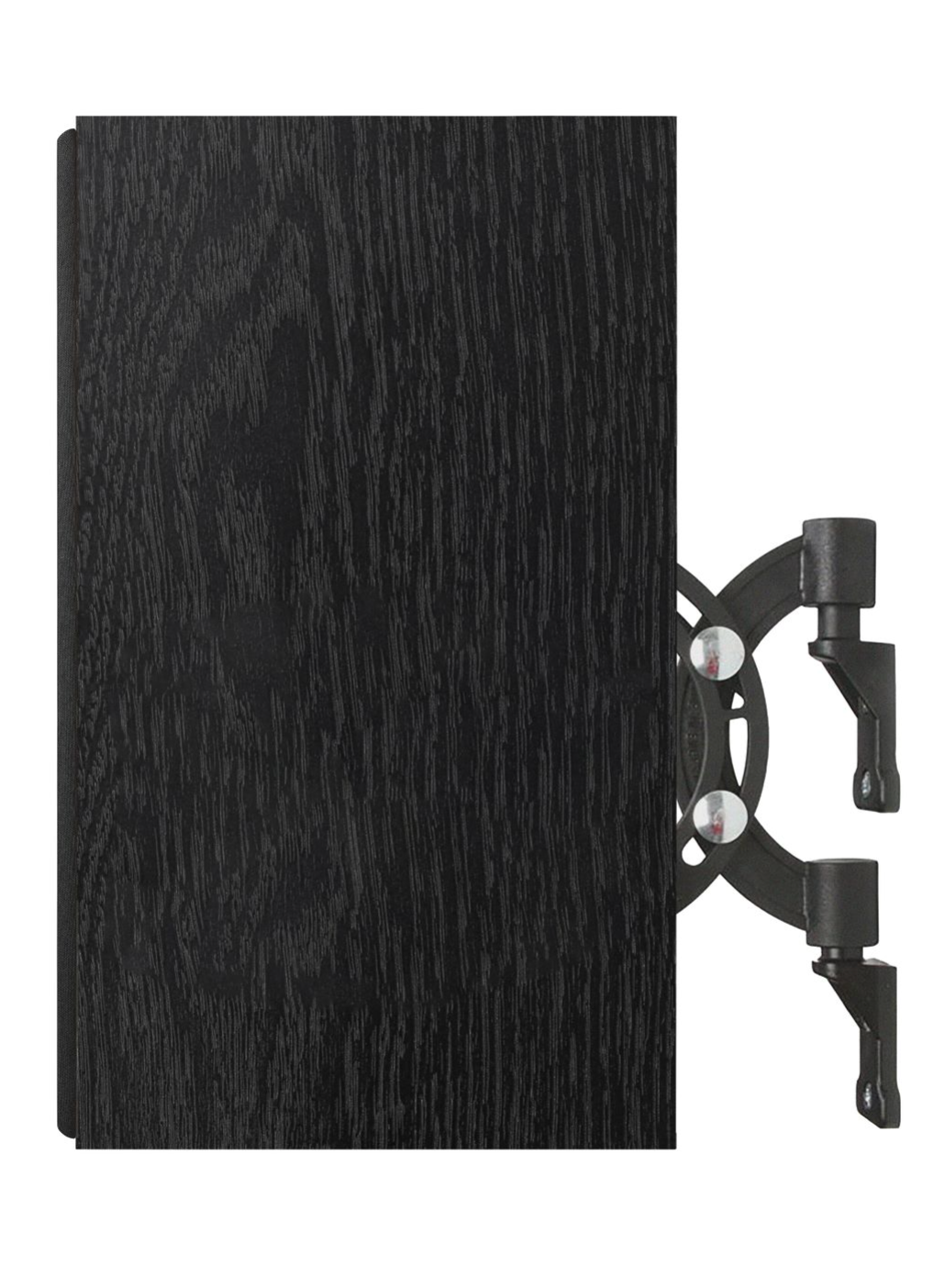 Spendor AW1 On-Wall Speakers in Black Ash, profile image, mounted