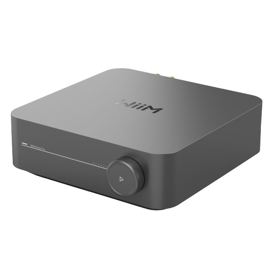 WiiM Amp Pro - angled