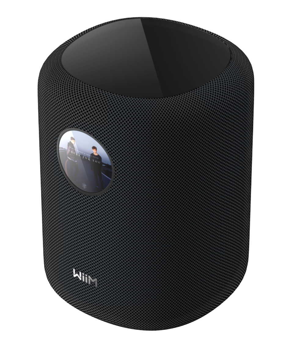 WiiM Sound Smart Speaker in Black angled