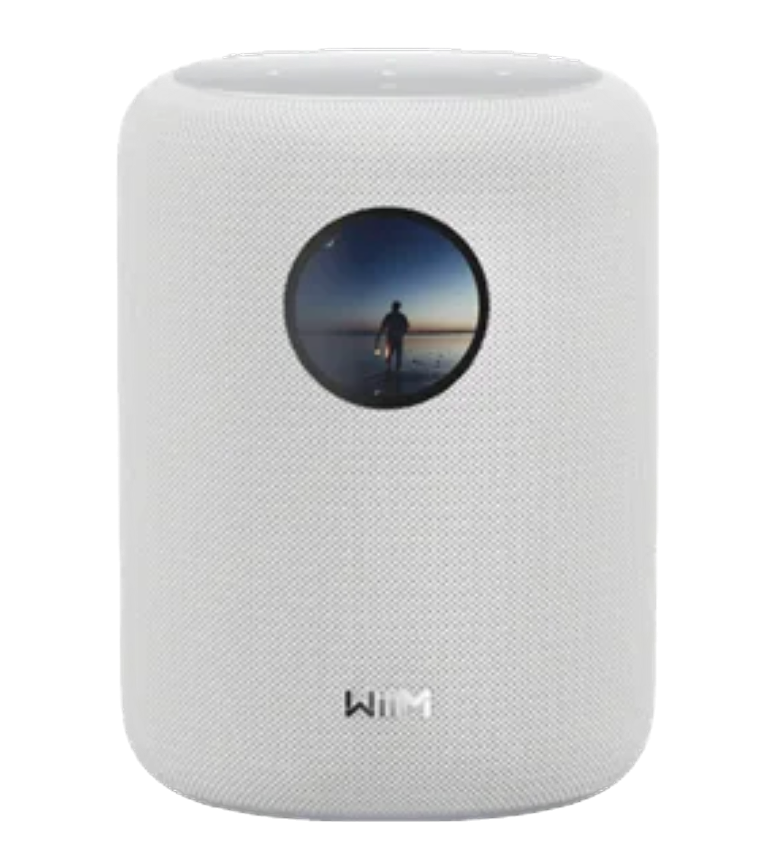WiiM Sound Smart Speaker in White