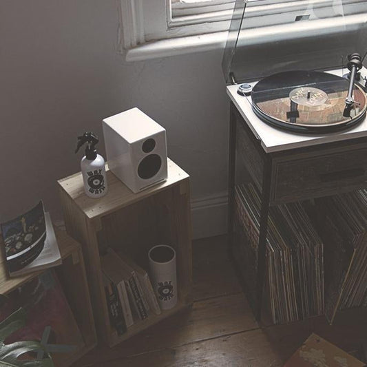 Keepin' it clean... and why-Vinyl Revival