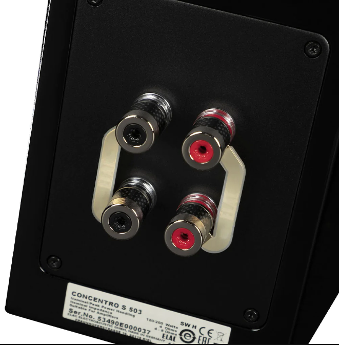 Elac Concentro S 503 Bookshelf Speakers in Black - image of rear plugins