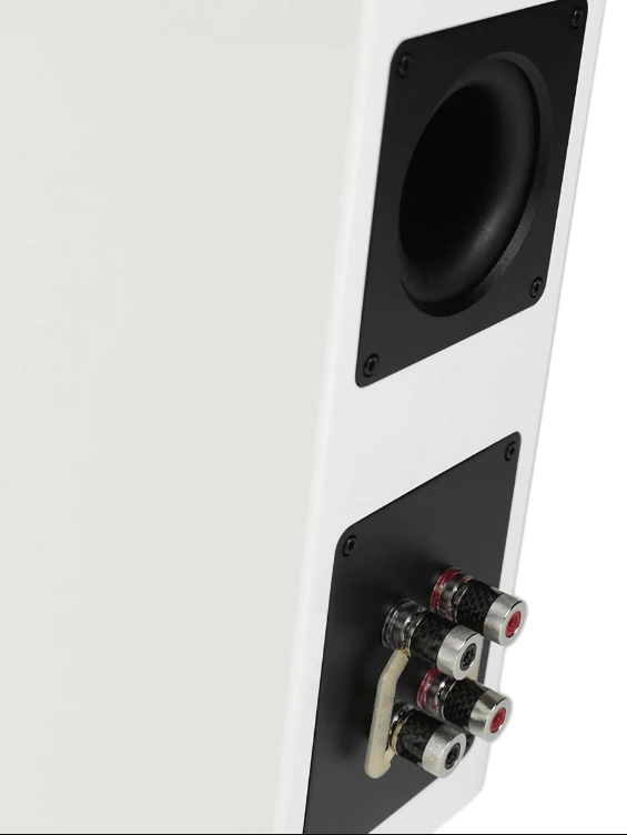 Elac Concentro S 503 Bookshelf Speakers in White - image of rear panel