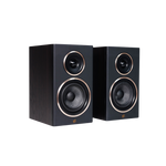 Encel Gelati Bookshelf Speakers in Birch Black without grilles