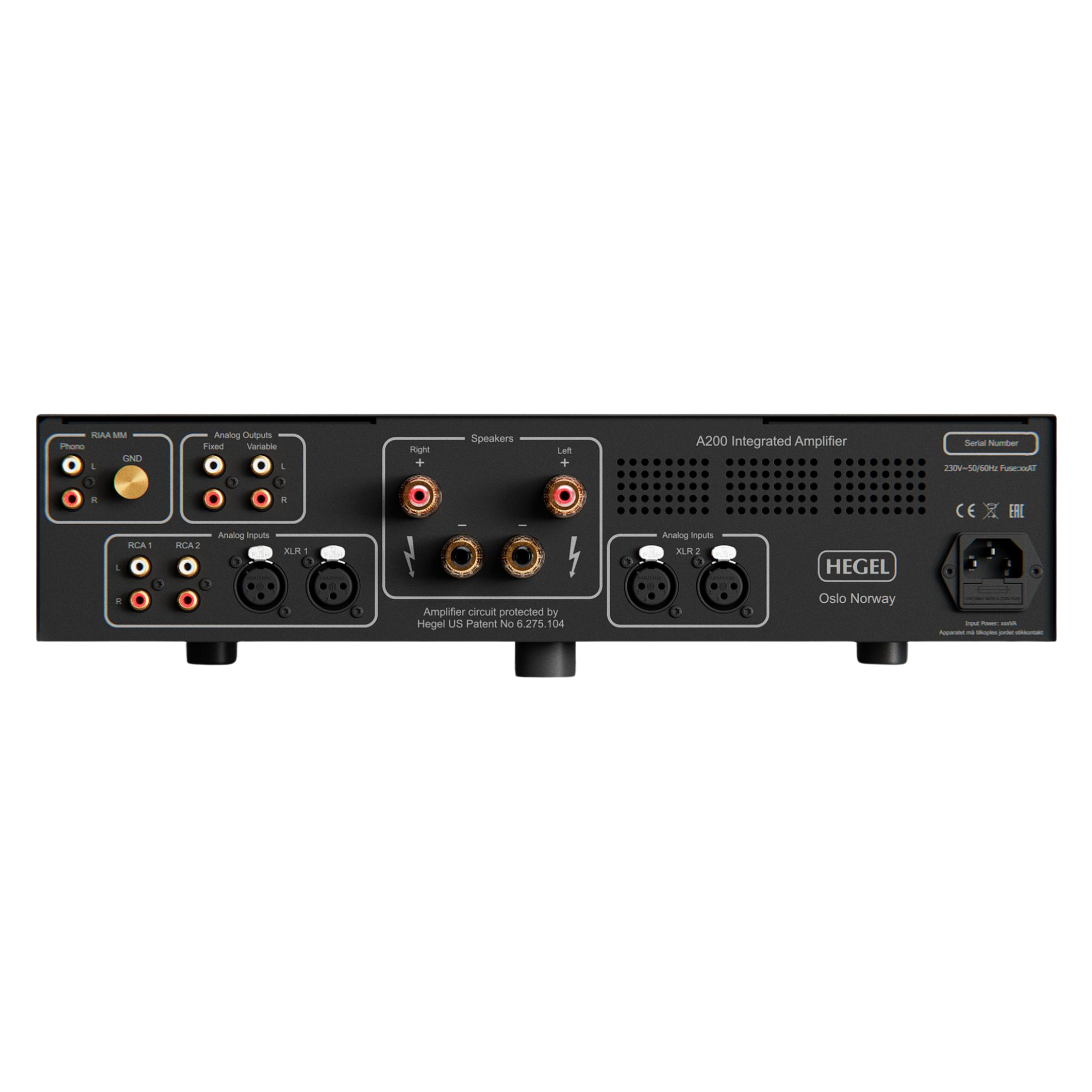 Hegel A200 Integrated Amplifier, back of unit
