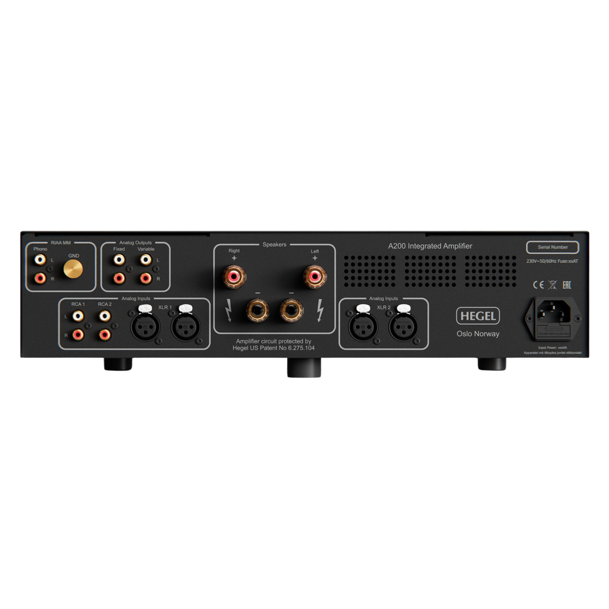 Hegel A200 Integrated Amplifier, back of unit