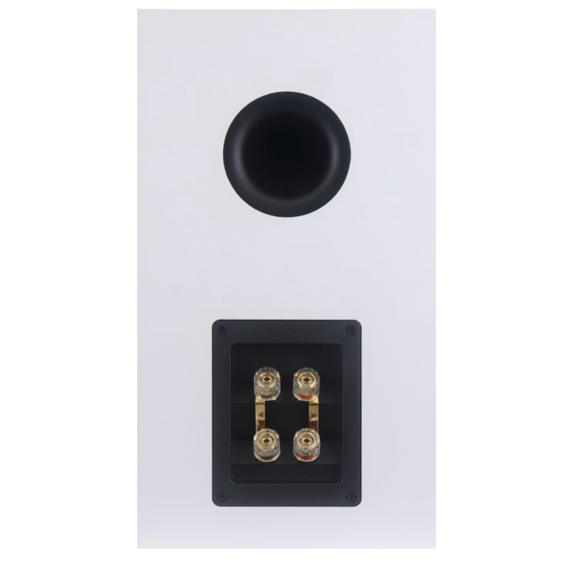 Rotel Amora 5 Bookshelf Speakers.  Back of individual speaker in White shown