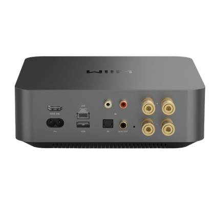WiiM Amp Pro - back