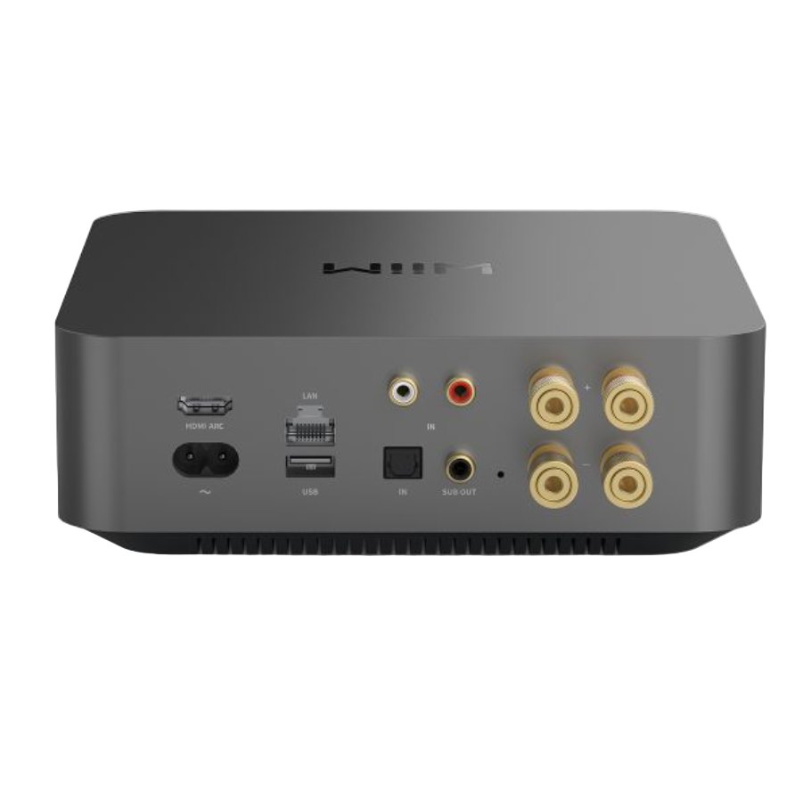 WiiM Amp Pro - back
