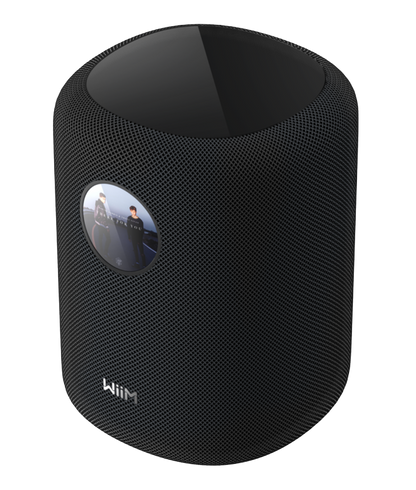 WiiM Sound Smart Speaker in Black angled