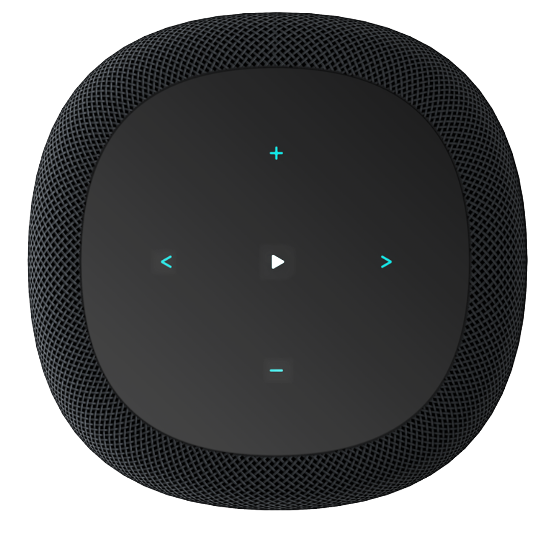 WiiM Sound Smart Speaker in Black, top