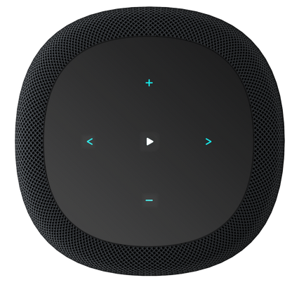 WiiM Sound Smart Speaker in Black, top