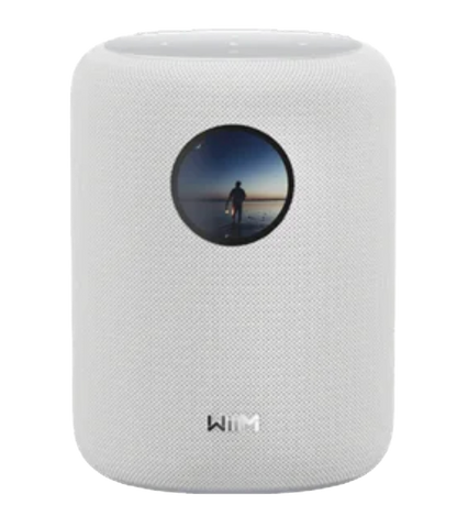 WiiM Sound Smart Speaker in White 