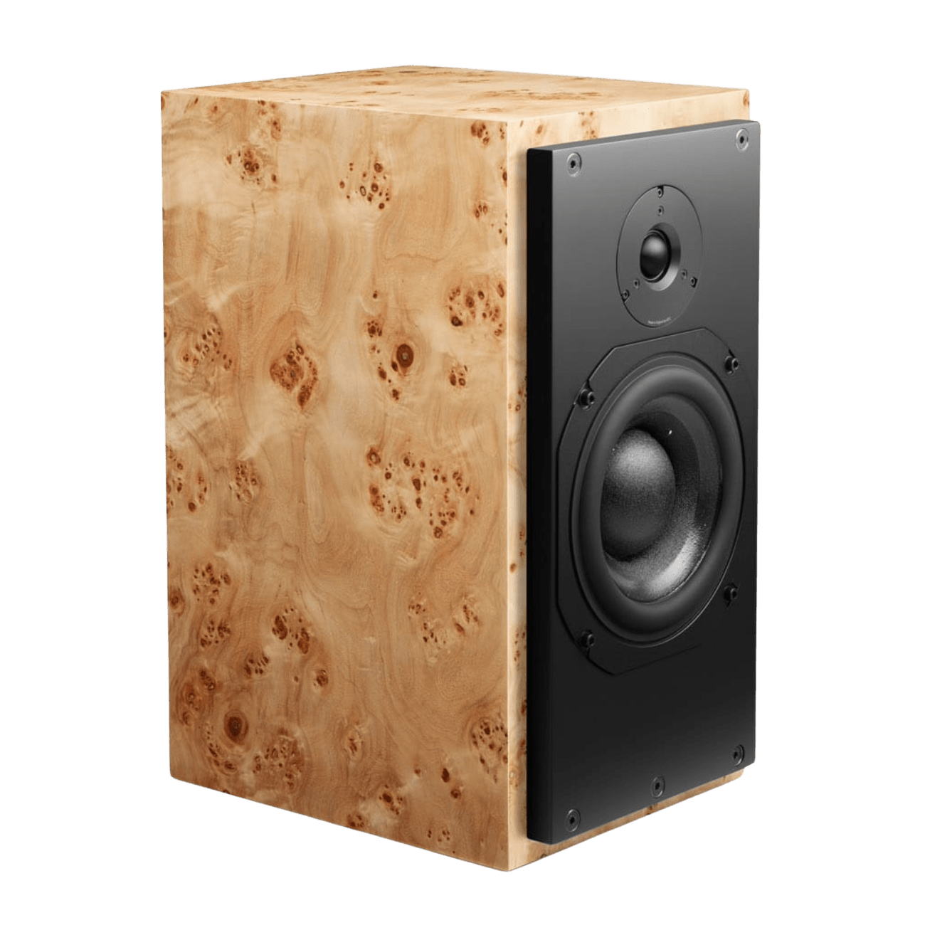 ATC SCM20ASL Active Speakers; individual speaker in Burr Poplar, angled