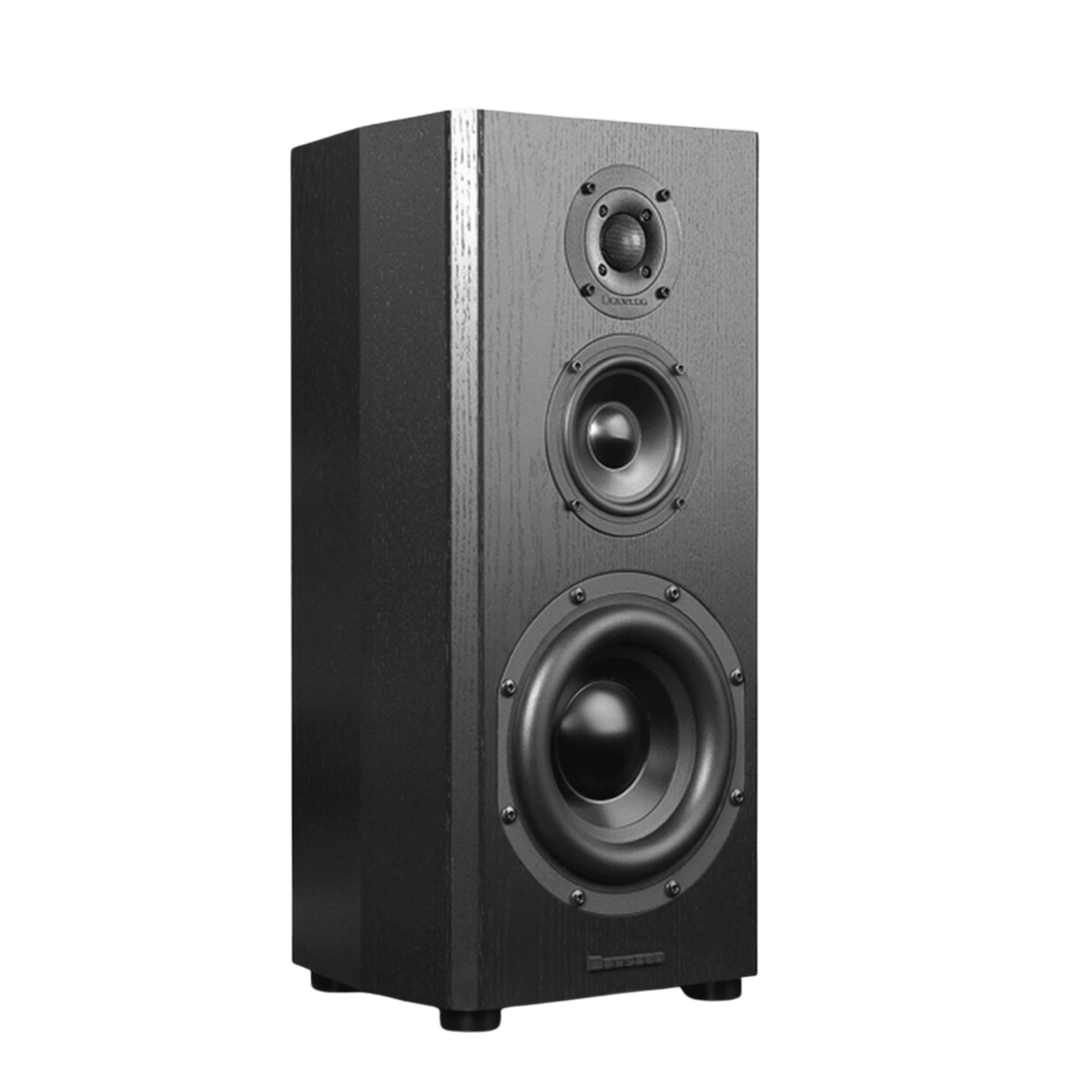 Bryston Mini T Loudspeakers in WalnutBookshelf SpeakersBrystonVinyl Revival