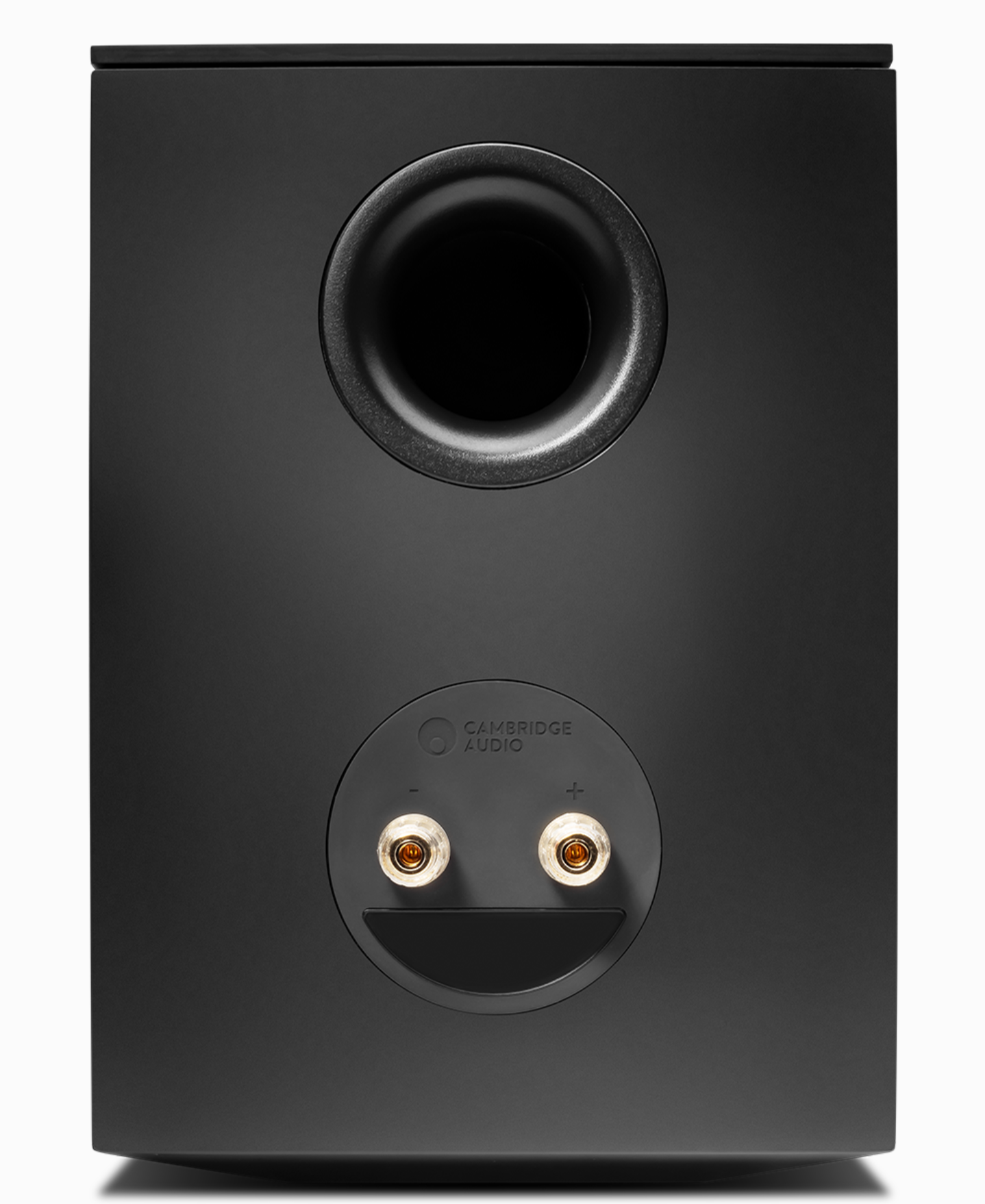 Cambridge Audio EVO S Bookshelf Speakers (pair) provide exceptional sound. Rear image.