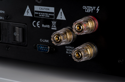 Canor AI 1.20 Integrated Solid-State Amplifier, outputs