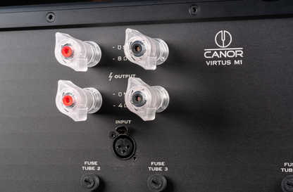 Canor Virtus M1 Vacuum Tube Power Amplifier.  Closeup of output and input
