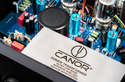 Canor Virtus M1 Vacuum Tube Power Amplifier.  Closeup of Power Transformer