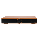 Canor Virtus 14S Integrated Solid-State Amplifier in bronze, front