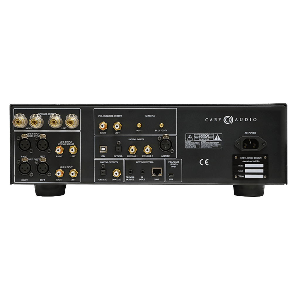 Cary Audio SI-300.2D Integrated Amplifier, back of unit