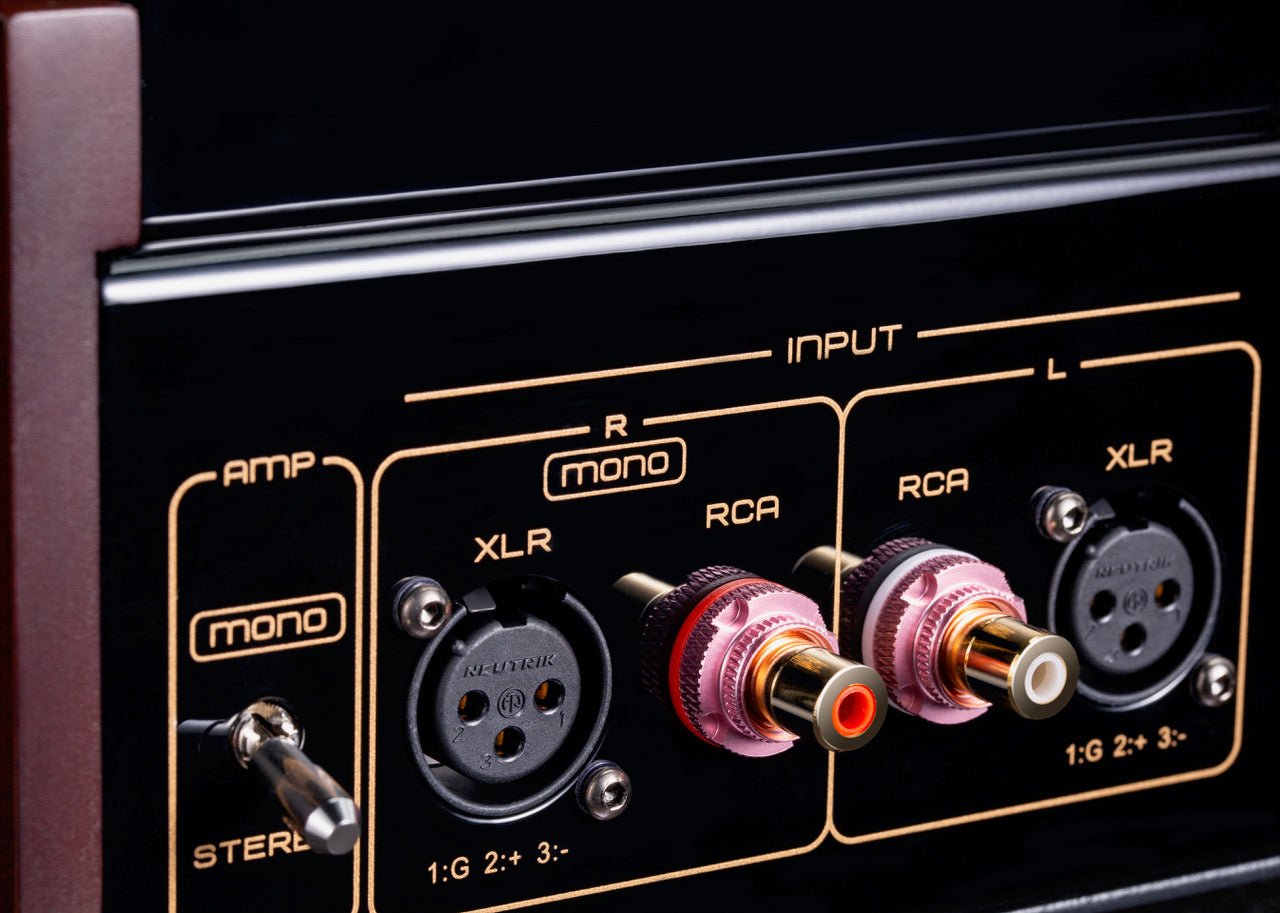 Cayin Soul 170P Class A Power Amplifier, Input controls