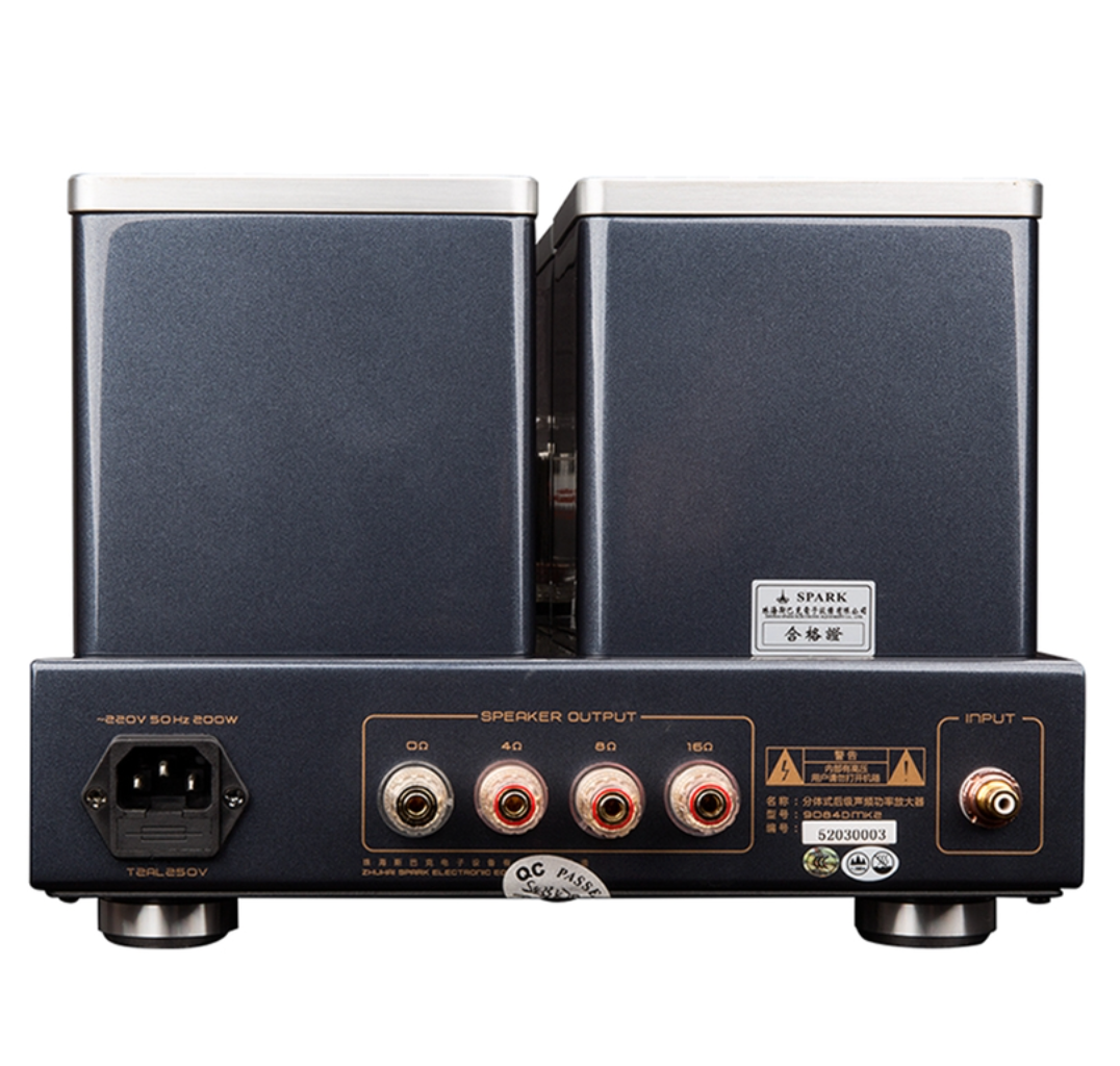 Cayin CS-845M Class A Mono Block Valve Power Amplifier, back