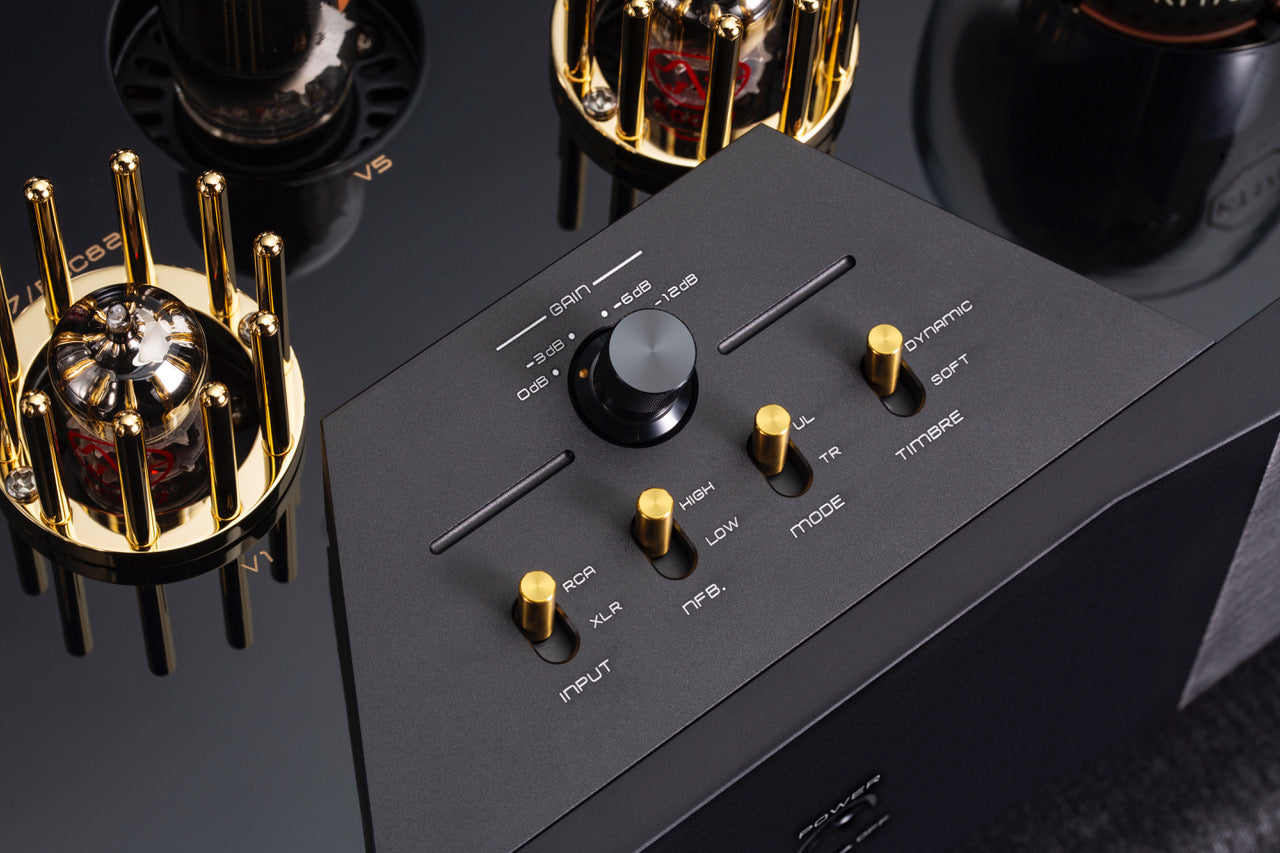 Cayin Soul 170P Class A Power Amplifier, controls up close