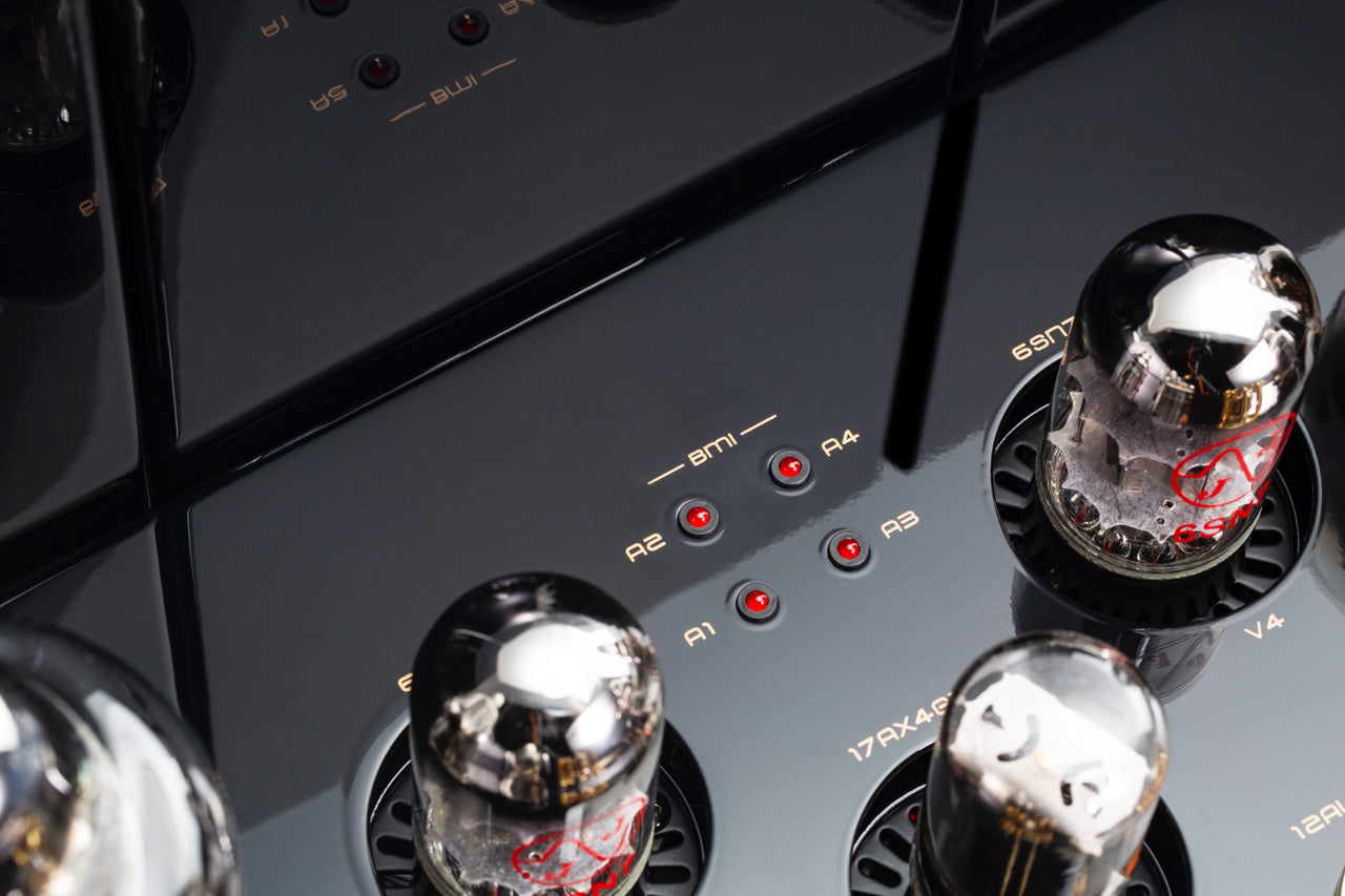 Cayin Soul 170P Class A Power Amplifier, BMI Indicators