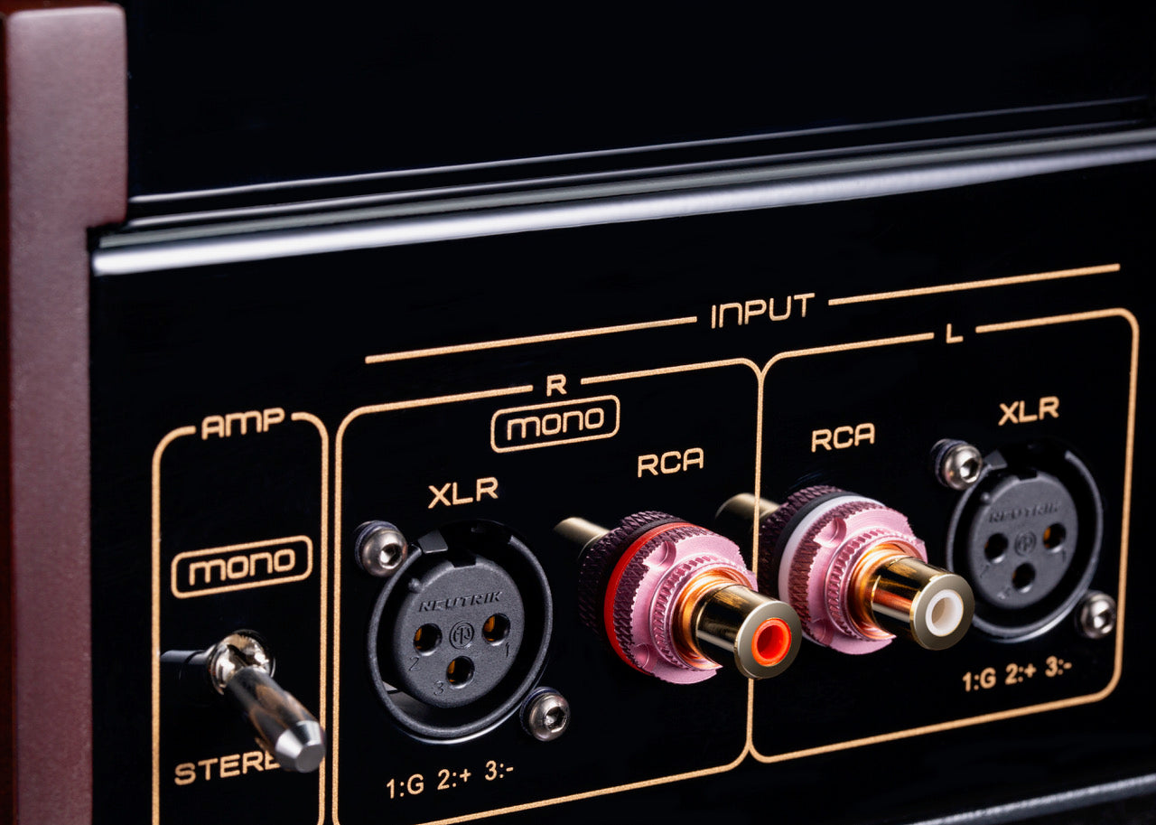 Cayin Soul 170P Class A Power Amplifier, Input controls