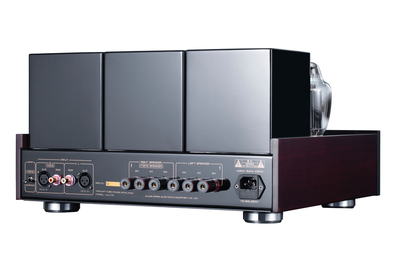 Cayin Soul 170P Class A Power Amplifier, back