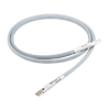 Chord Sarum T Super ARAY USB 1M