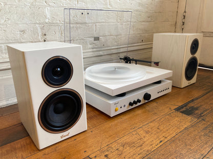 Combo Audio Bundles Excuse Me, Does it Come In White Turntable Pack