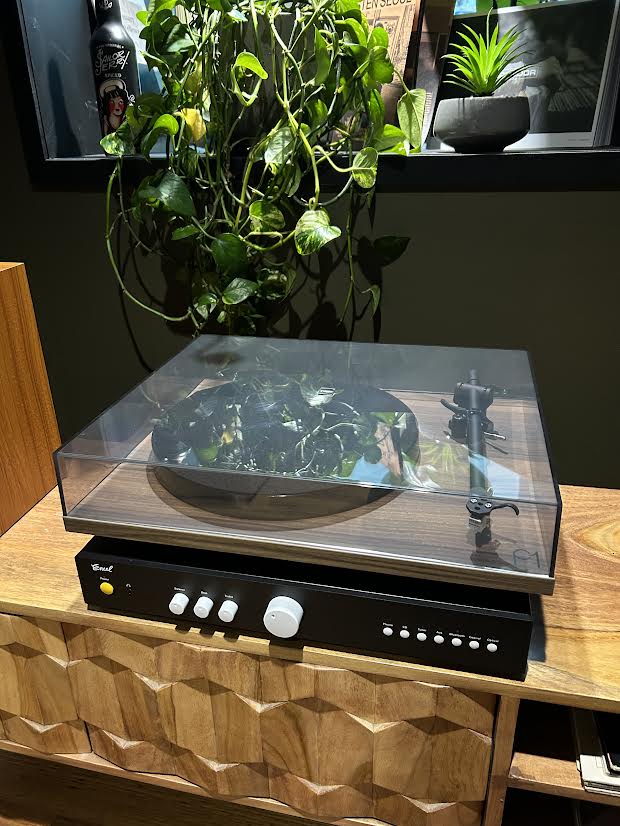 The Brain Freeze 2.0 Turntable Pack