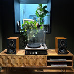 The Brain Freeze 2.0 Turntable Pack