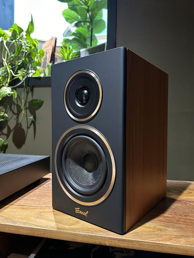 The Brain Freeze 2.0 Turntable Pack