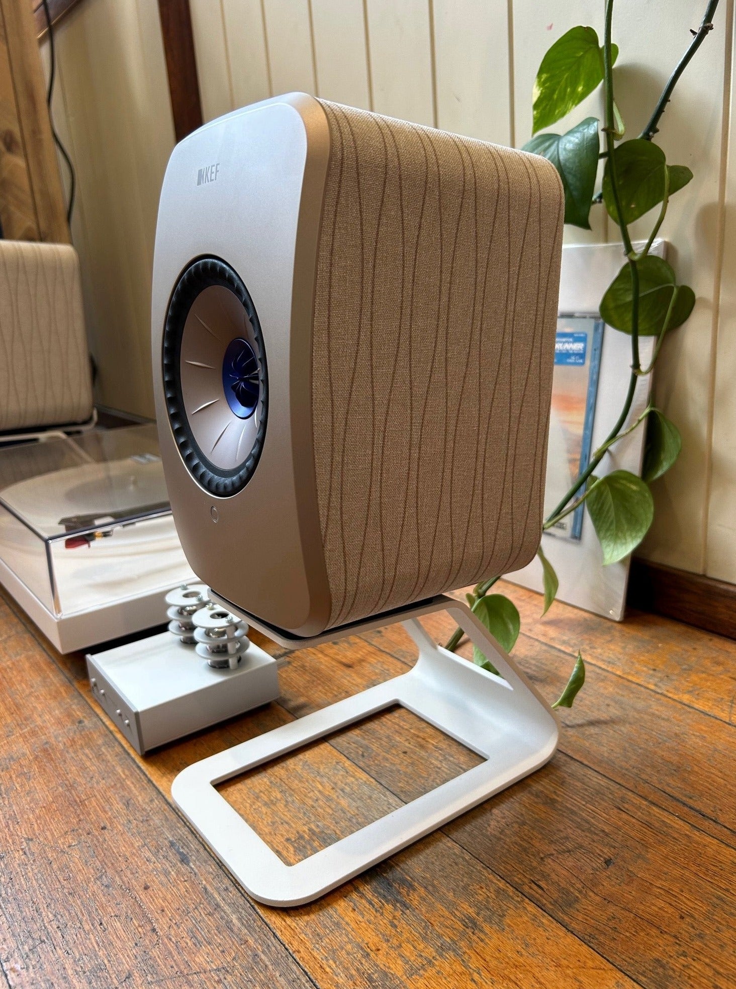 The Disco Dazzler Turntable  Pack
