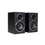 Encel Gelati Bookshelf Speakers in Birch Black without grilles