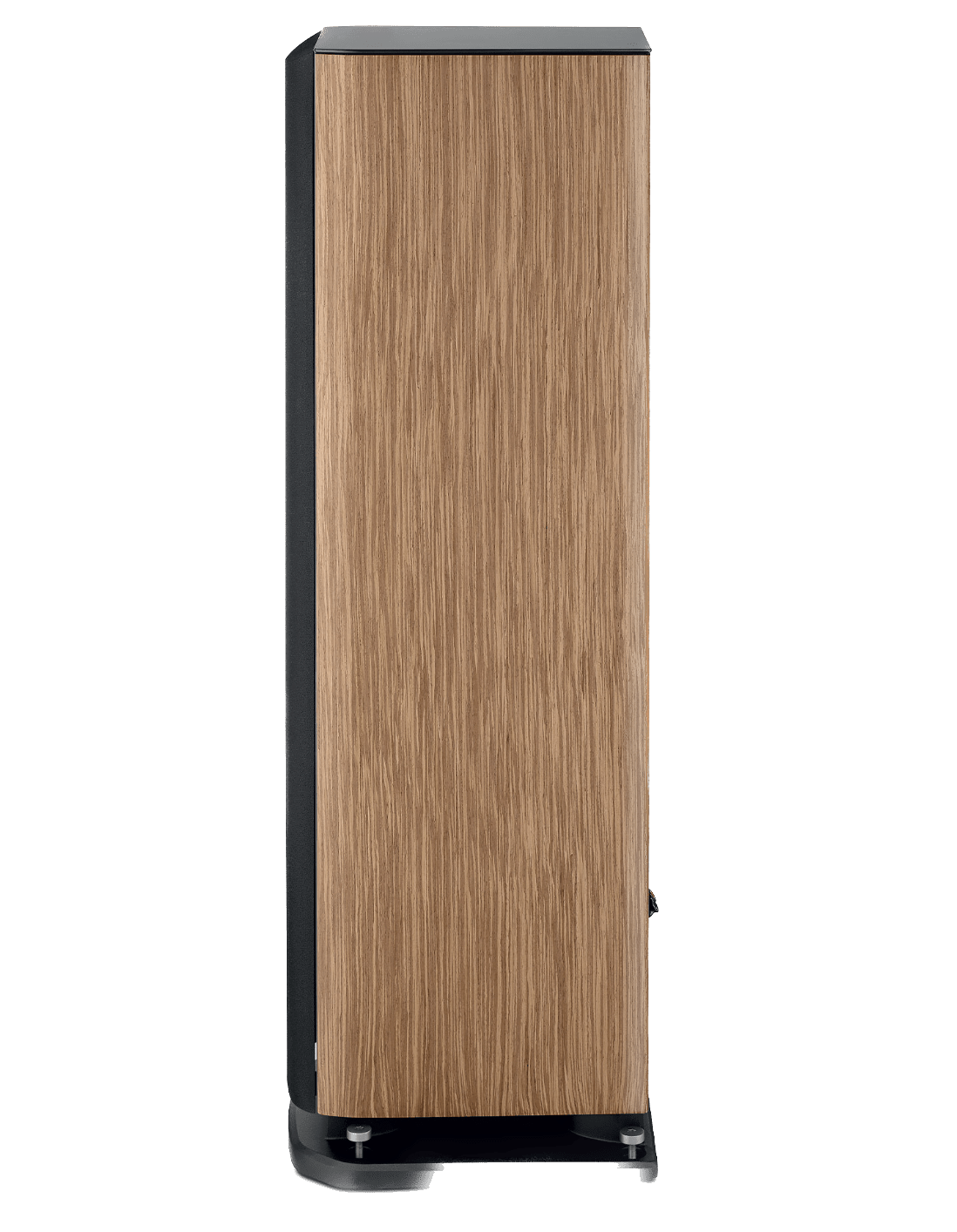 Focal Aria EVO X N° 3 Floorstanding Speaker in Prime Walnut, profile image
