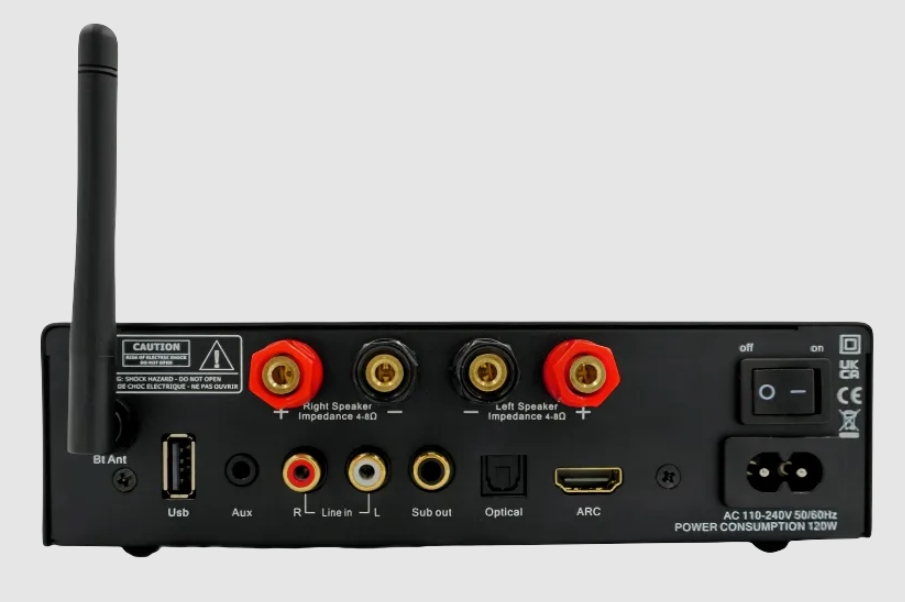 Gotham Audio Baby Goth AMP 100, rear of unit