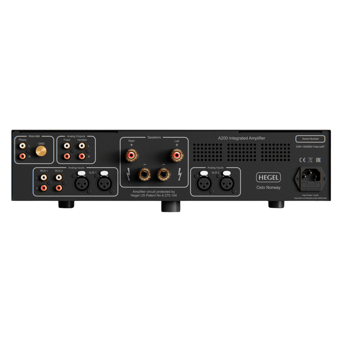 Hegel A200 Integrated Amplifier, back of unit