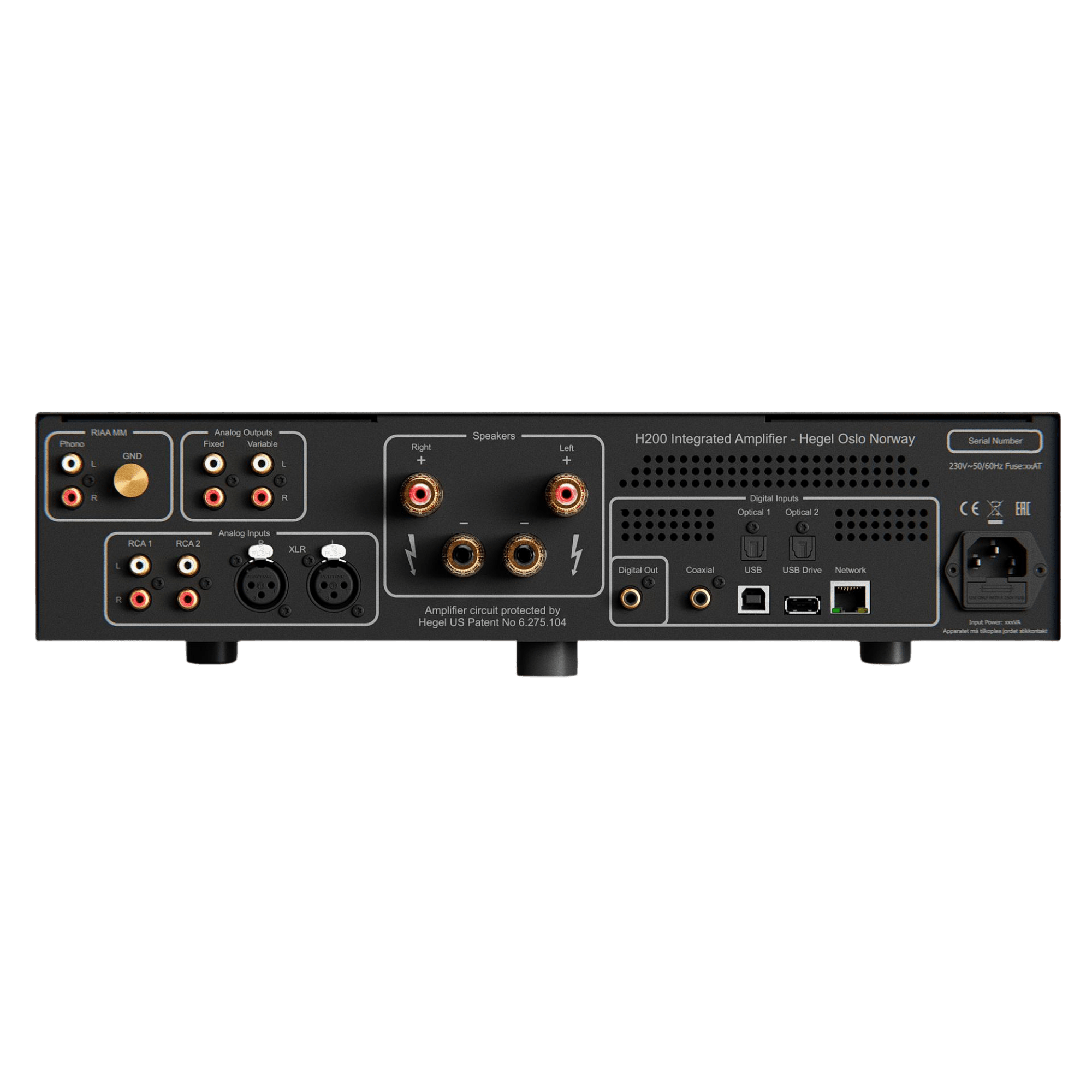 Hegel H200 Integrated Streaming Amplifier, back