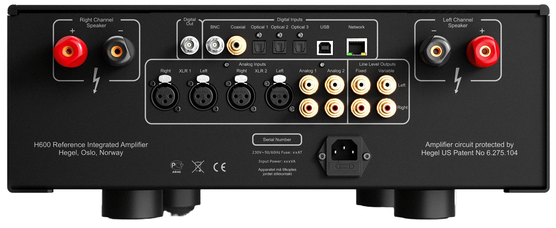 Hegel H600 Integrated Amplifier, back of unit