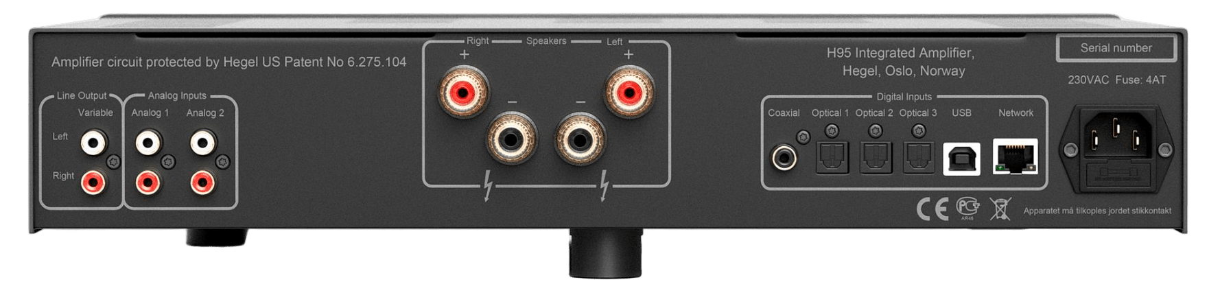 Hegel H95 Streaming Amplifier, back of unit