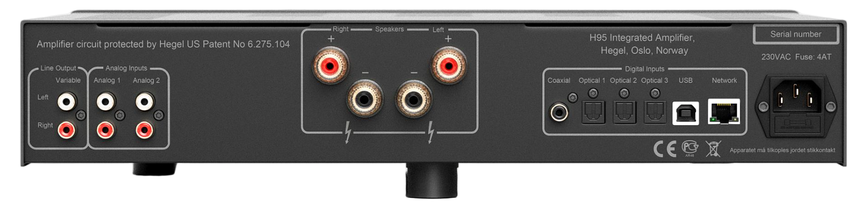 Hegel H95 Streaming Amplifier, back of unit